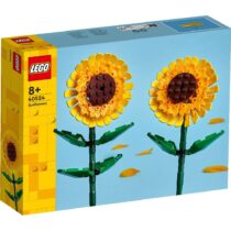 LEGO40524