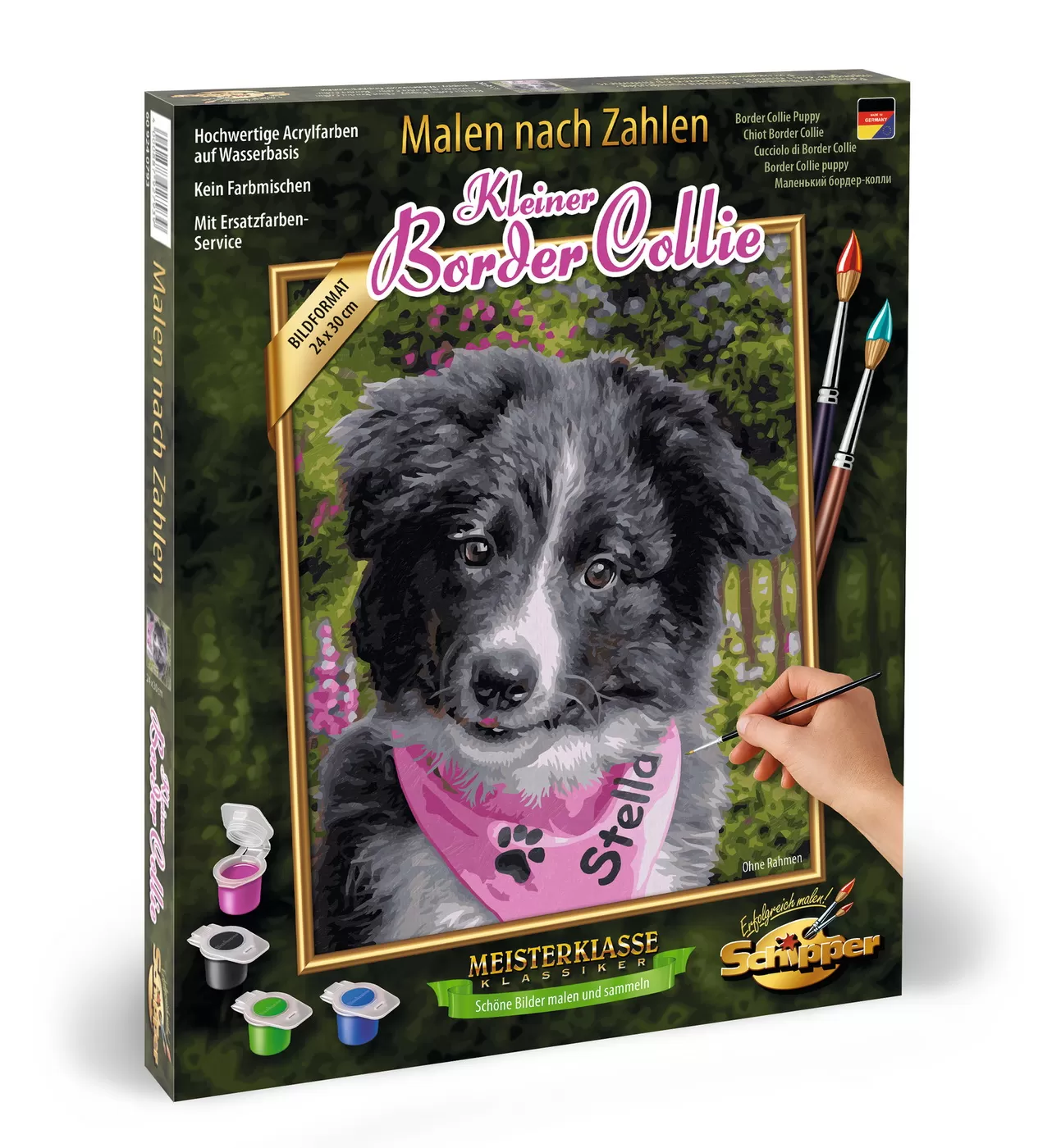 KIT PICTURA PE NUMERE SCHIPPER CATELUS BORDER COLLIE