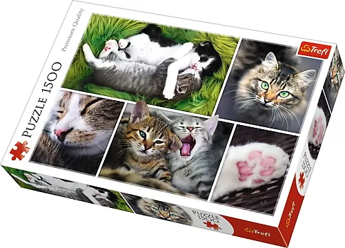 PUZZLE TREFL 1500 VIATA PISICILOR