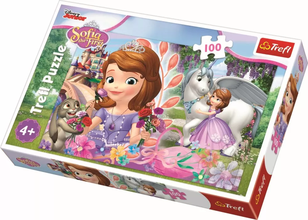 PUZZLE TREFL 100 AVENTURA LA CASTEL