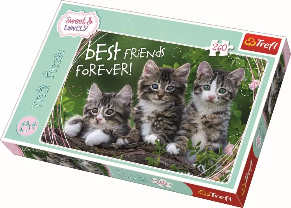 PUZZLE TREFL 260 PISOI DRAGALASI