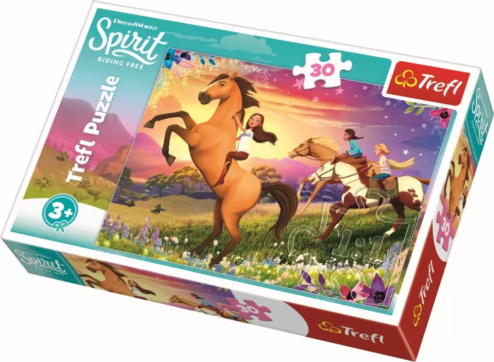 PUZZLE TREFL 30 SPIRITUL LIBERTATII