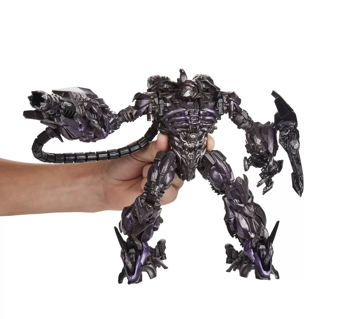 6jpeg-91883591