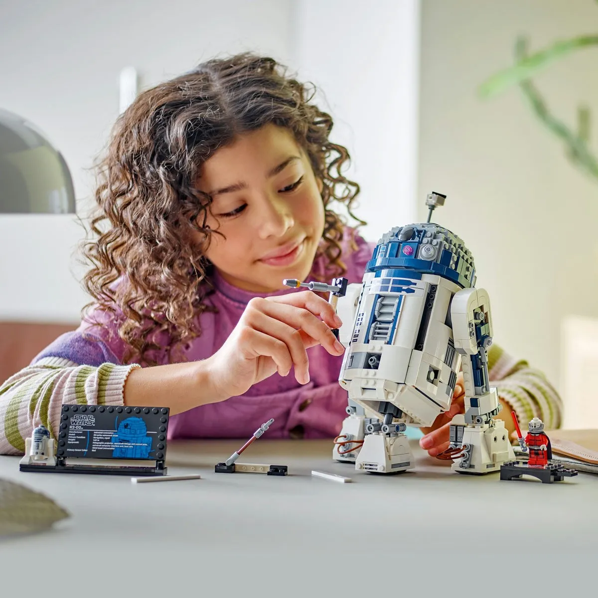 9_LEGO75379-19462475